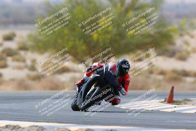 media/Apr-10-2022-SoCal Trackdays (Sun) [[f104b12566]]/Turn 5 Tree of Life (1040am)/